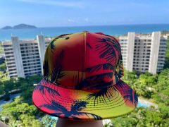 Wholesale Hawaii Baseball Hat Factory