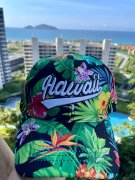 Wholesale Hawaii Style Baseball Hats Manufacturer